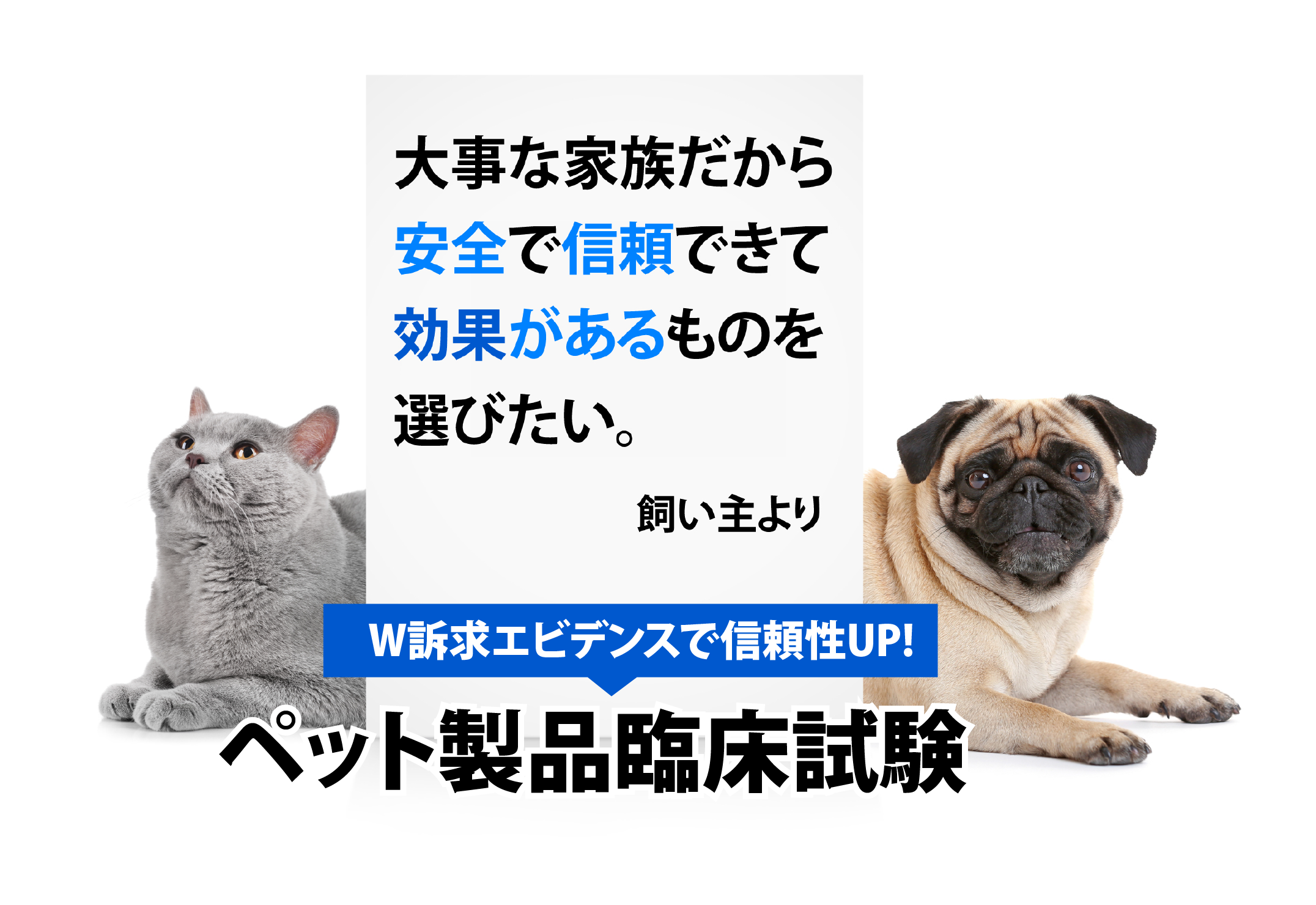 TOPペット製品臨床検査バナー1_2